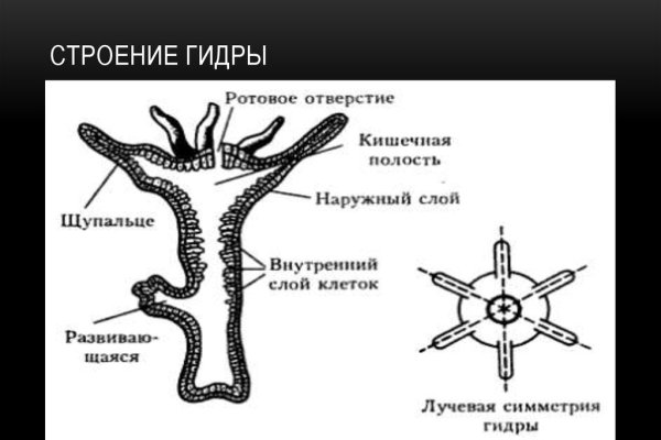 Кракен актуальная