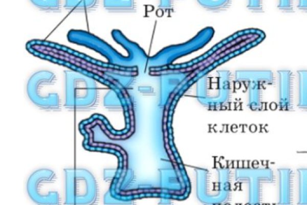 Кракен войти сегодня