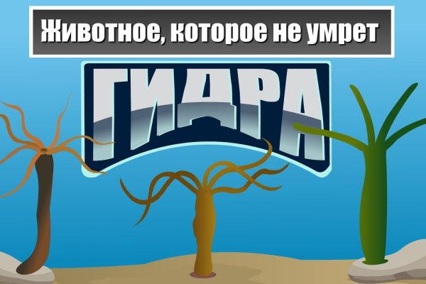 Кракен наркокортель