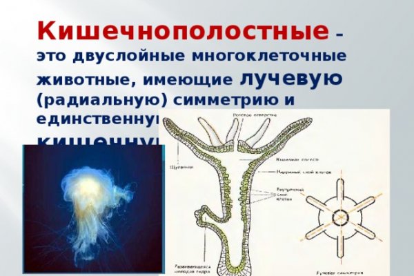 Актуальный домен кракена