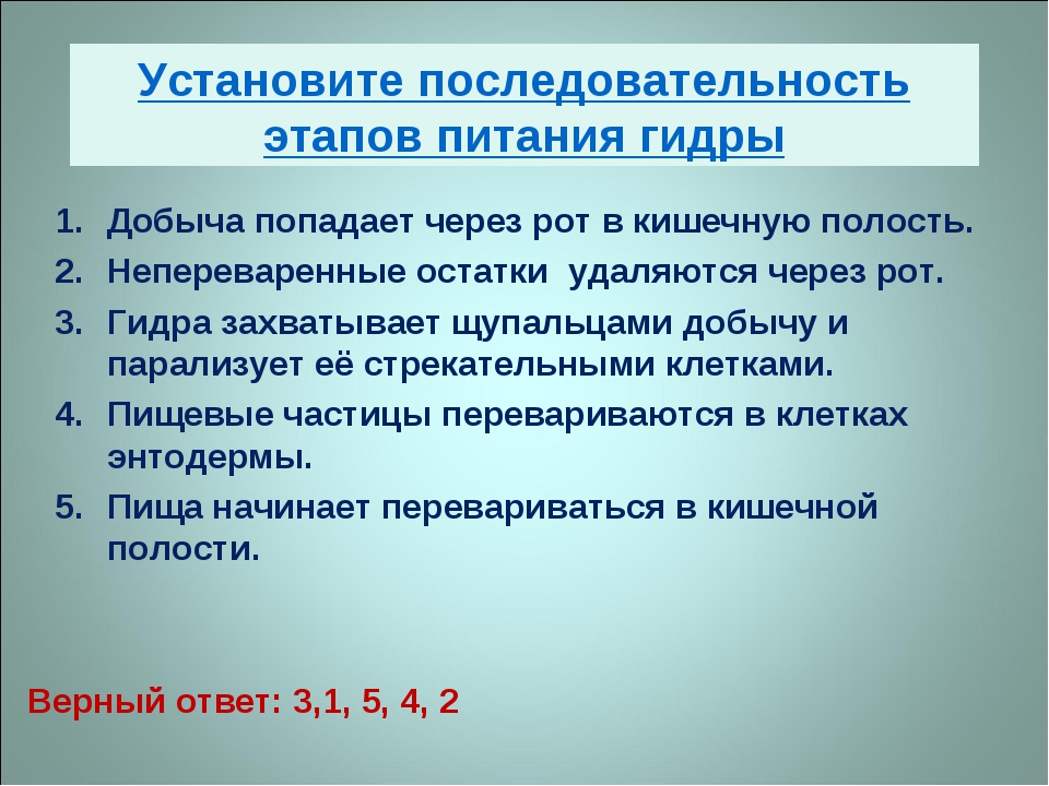 Как восстановить доступ к аккаунту кракен